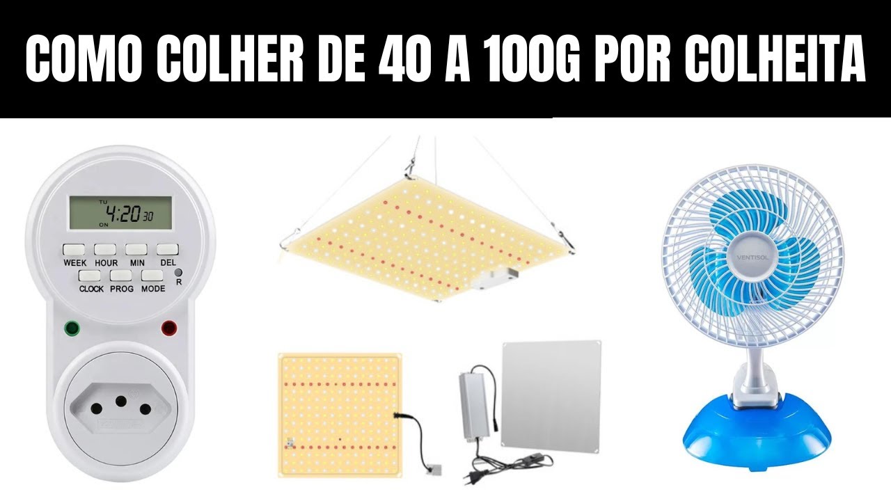 Como COLHER de 40 a 100g por Colheita Cultivo Indoor SIMPLES E BARATO!