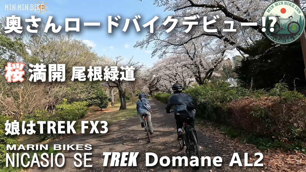奥さんロードバイクデビュー？ トレックドマーネal2で　桜満開の尾根緑道をサイクリング　イタリアンでランチ　娘はトレックFX3