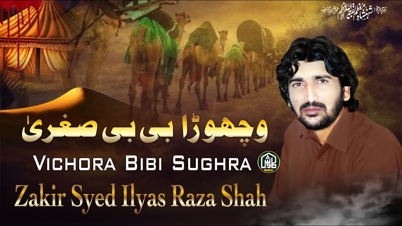 Vichora Bibi Sughra | Zakir Syed Ilyas Raza Shah | 3 Muharram 2023