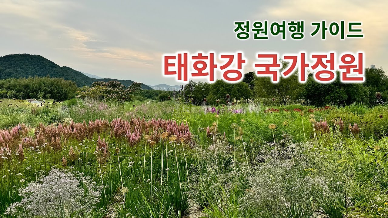 태화강 국가정원✨총정리✨정원 가이드🌿자연주의정원