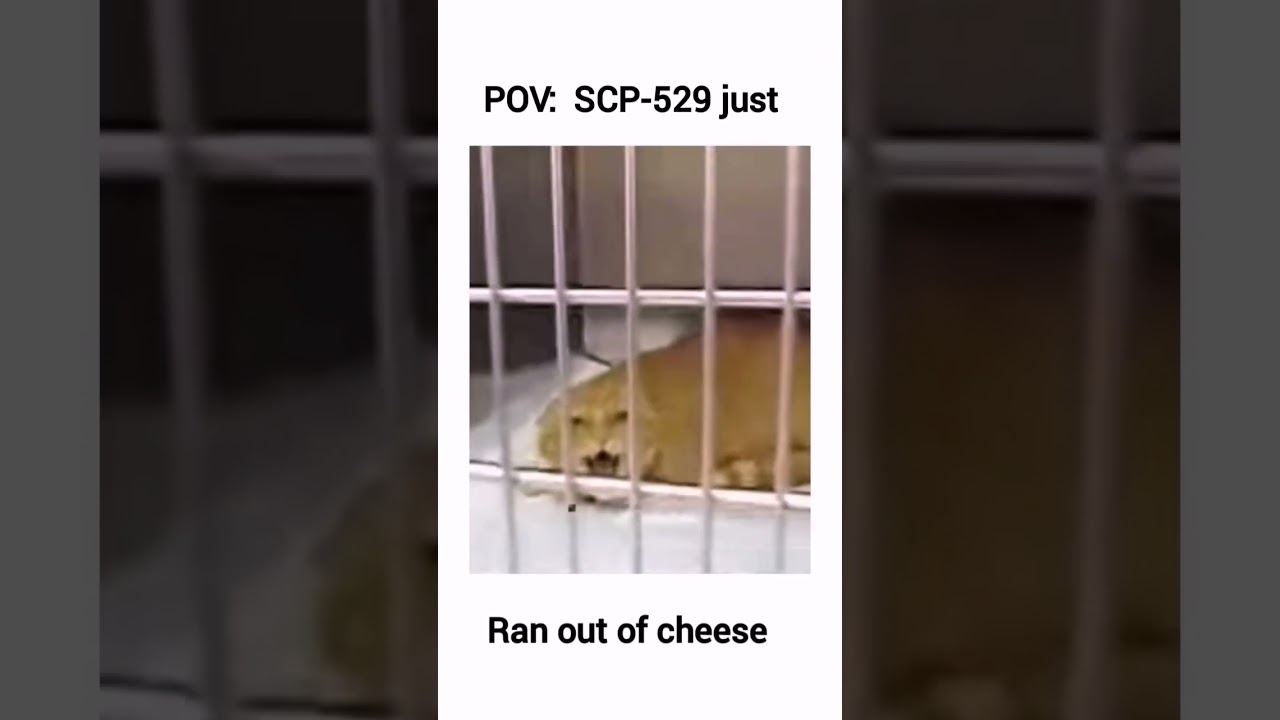 SCP-529 be like#scp #memes #scpfoundation #scp529