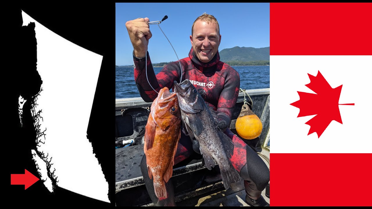 Spearfishing Vancouver Island, Canada