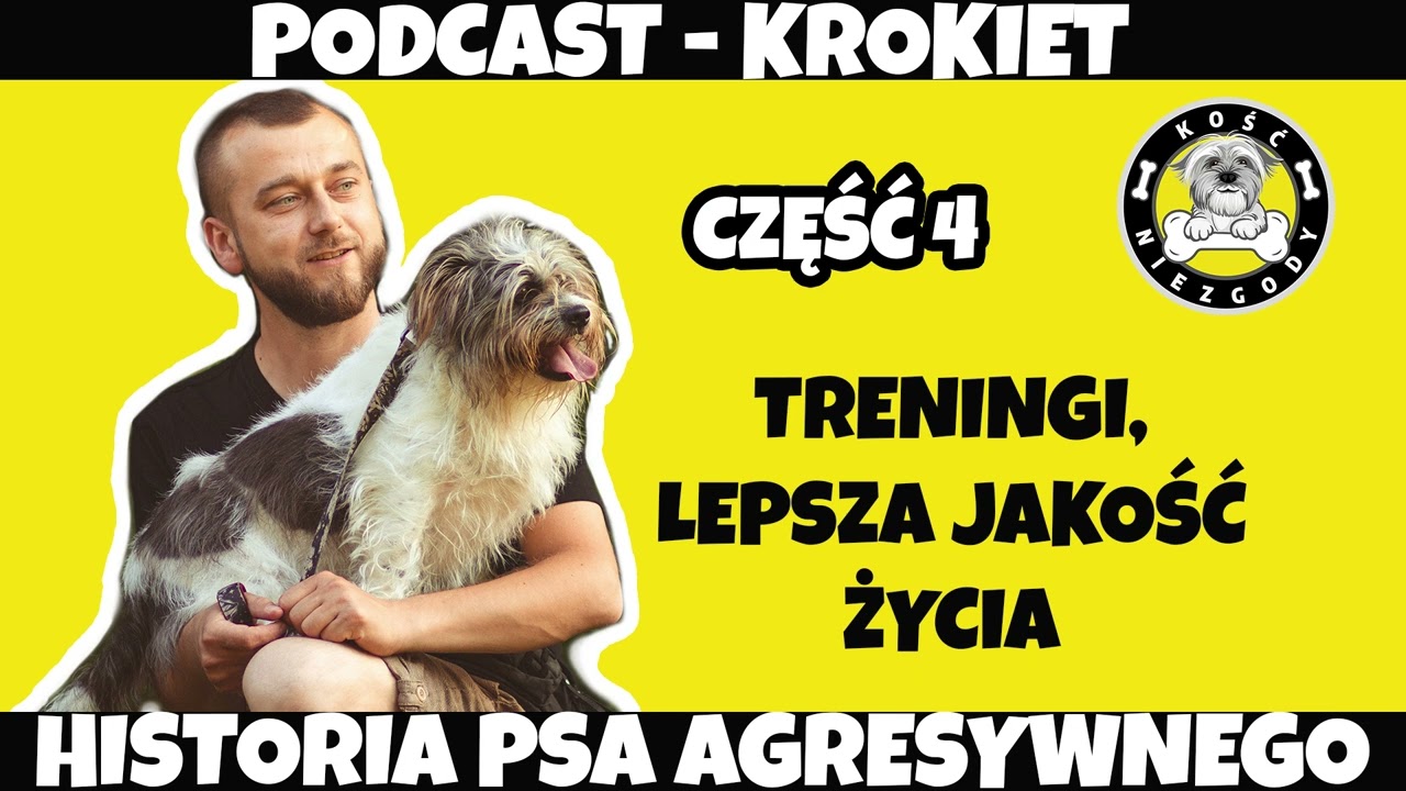 Podcast Krokiet - Treningi, Lepsza Jakość Życia (cz.4)