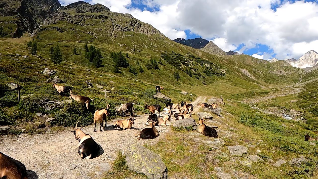 Zazzl - Wandern in Südtirol: 2023 Highlight - Durchs Pfossental zum Eisjöchl 8