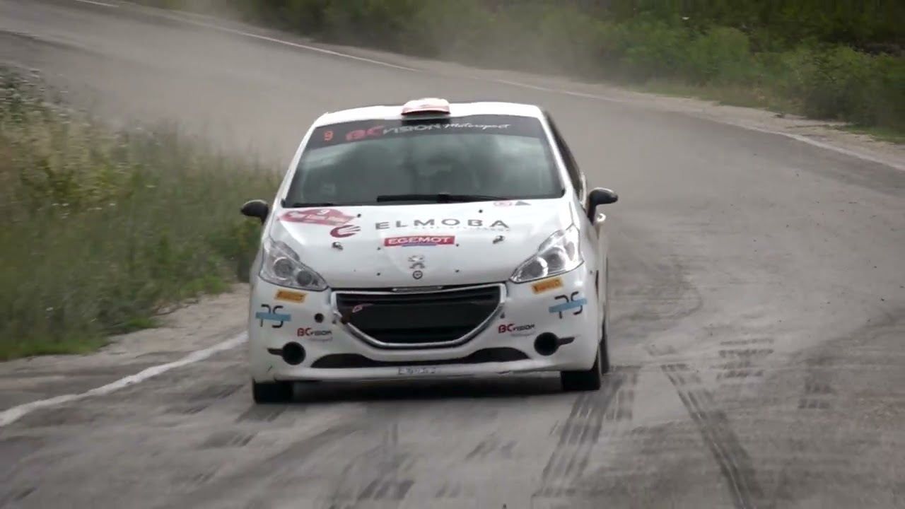 Yıldıray Demircioğlu - Mehmet Köleoğlu | Peugeot 208 R2 | 2022 ETİ ESOK Rally