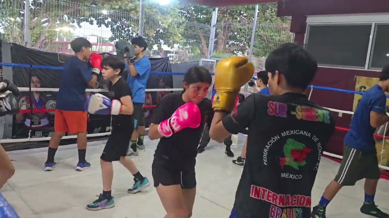 Sugar team boxing club 