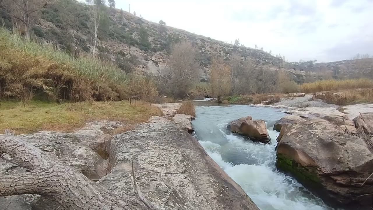 Aigua viva.