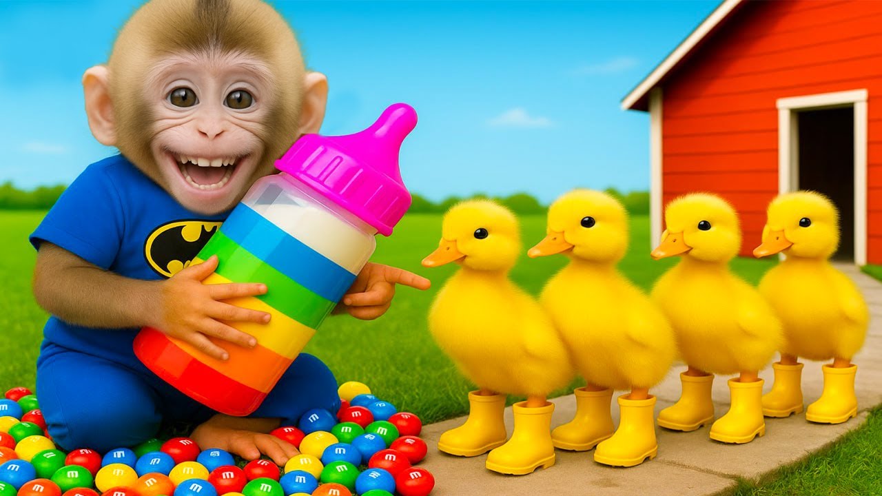 Macaquinho BONBON cuida dos patinhos e saboreia morangos gigantes 🍓🐥
