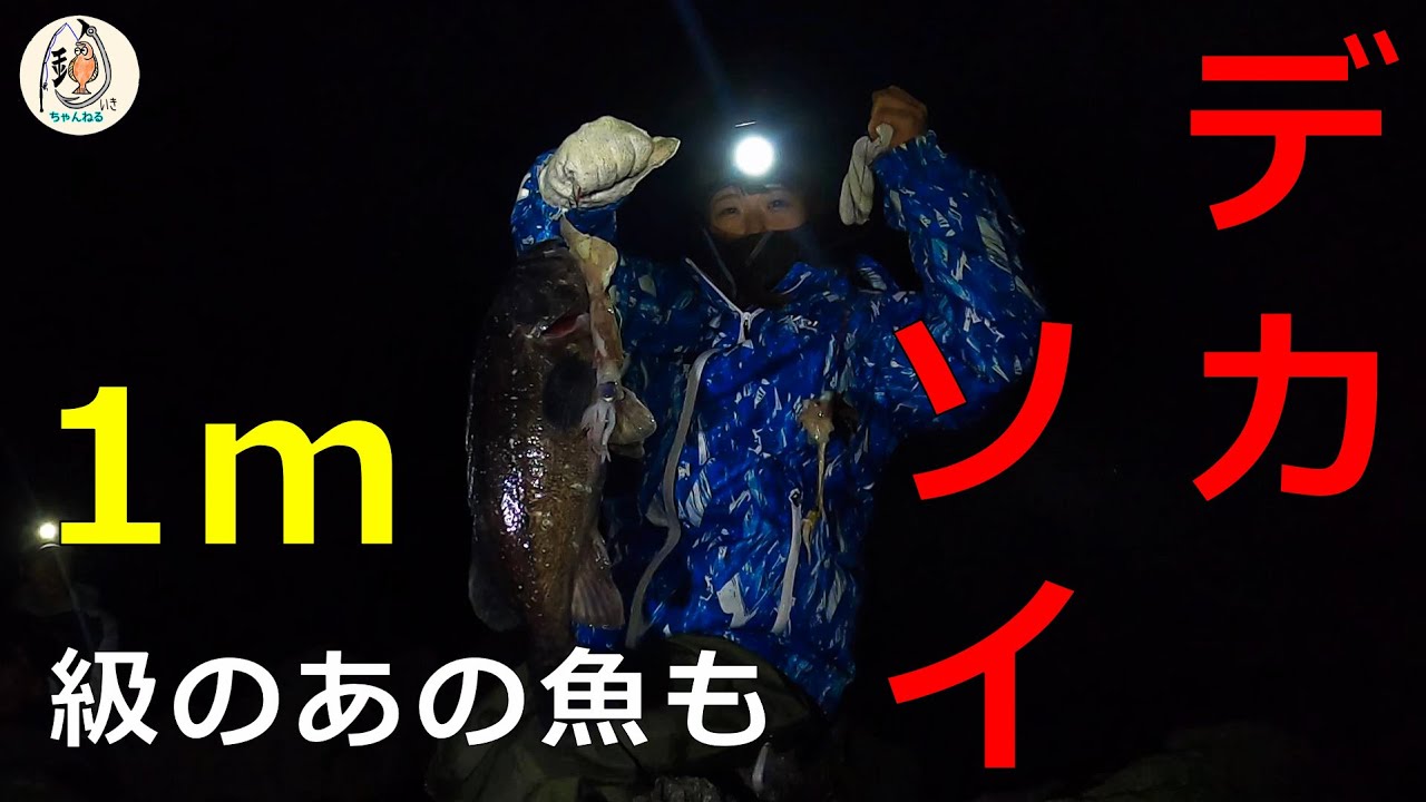 【北海道海釣り】檜山方面の地磯でイカを餌に夜ブッコミ＆投げ釣りでデカソイ狙ったらｍ級のあの魚も掛かった。「前編」