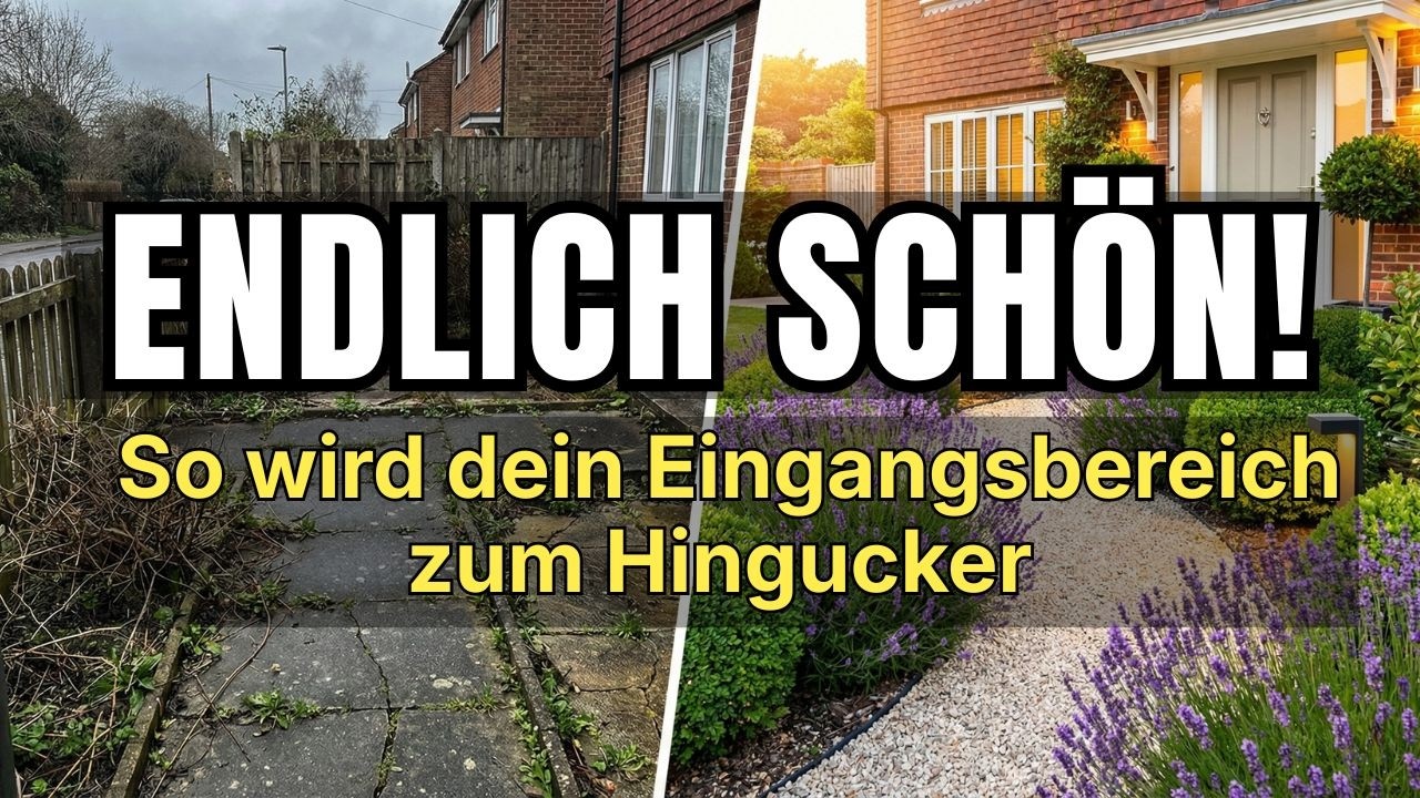 Vorgarten gestalten leicht gemacht 🌿 Ideen, Pflanzen & Tipps für einen schönen Eingangsbereich