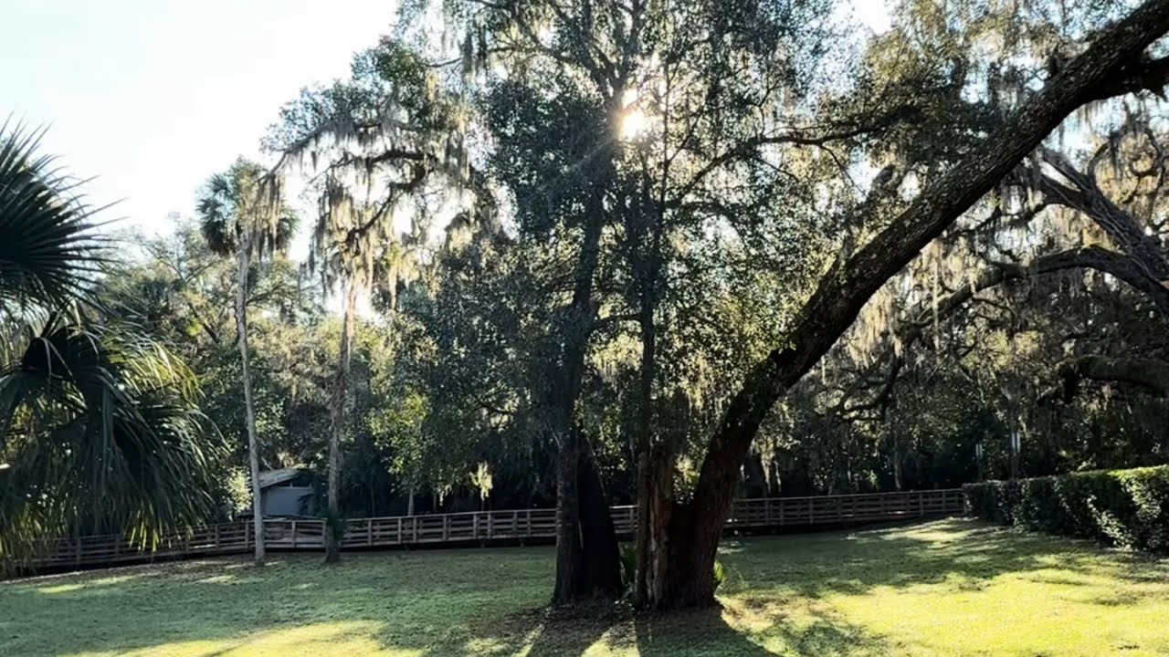Forgotten South- Southern Charm are disappearing Slowly 