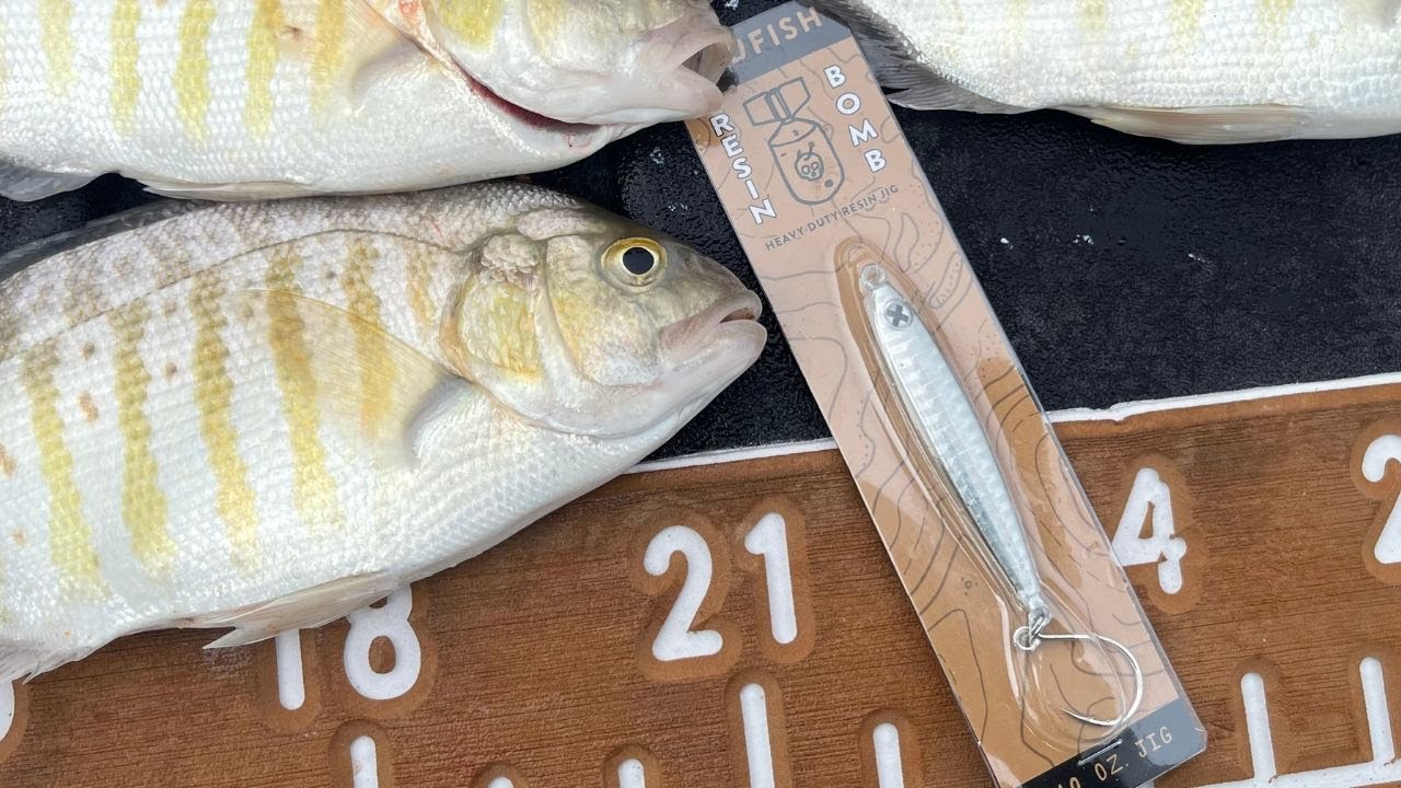 Experimenting with a New Lure for Surf Perch
