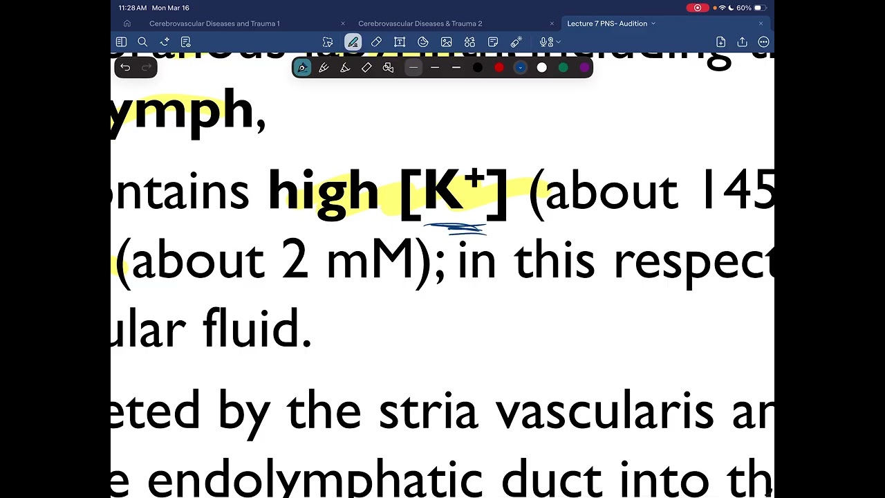 NS  physiology Lec 7