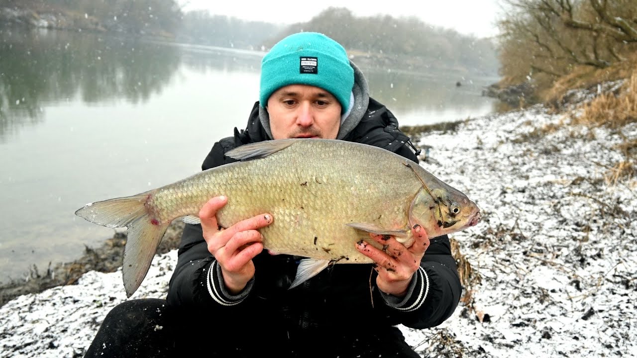 Krupne Deverike iz Savskih dubina - ZIMSKI FEEDER RIBOLOV