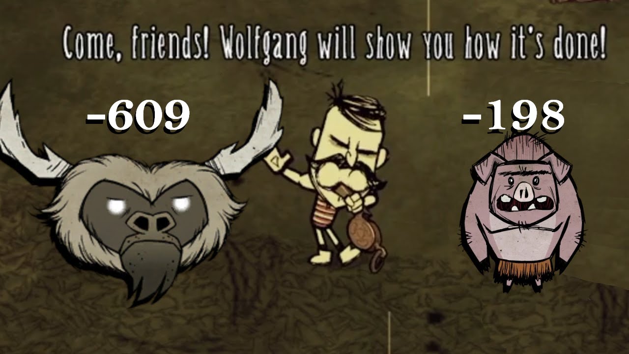 Wolfgangs coaching is Really Strong!