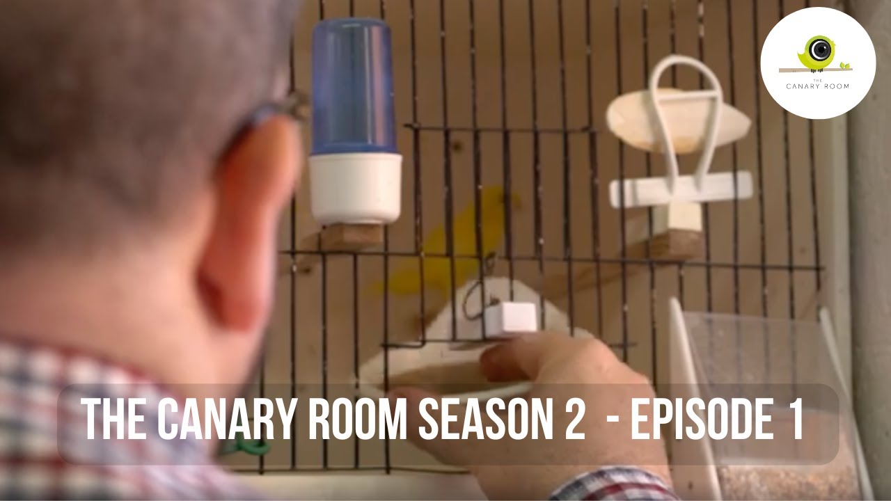 The Canary Room Season 2 - EPISODE 1