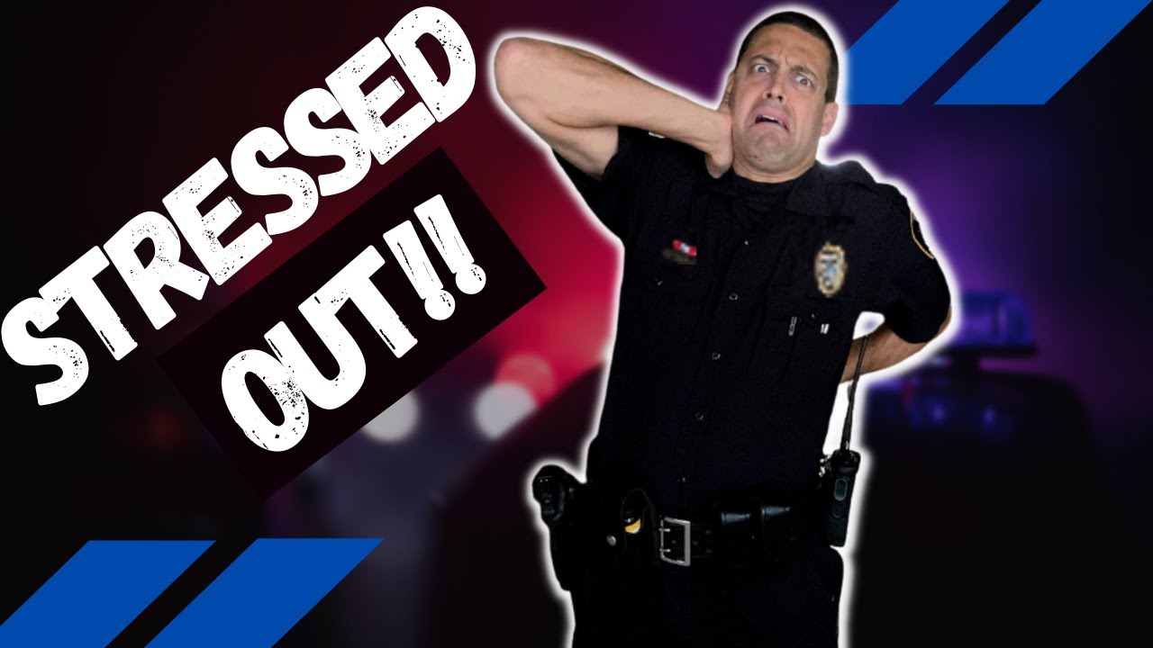 What types of stress do police officers deal with?
