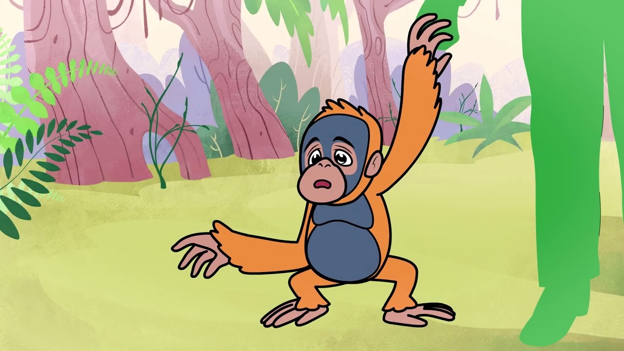Orangutan conservation - A short animation showing how together we all can make a difference