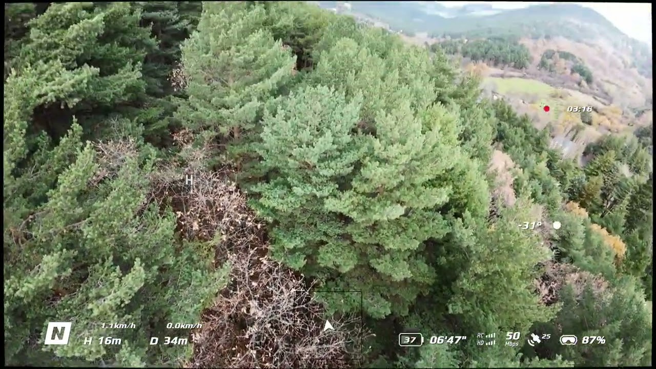 PIERDO DRON