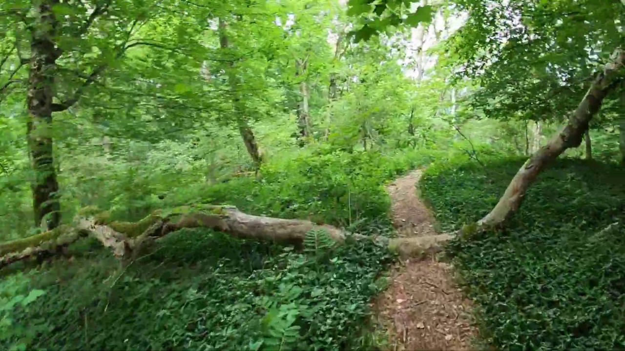 Heldenberg Trail, Kaltes Feld zur Reiterleskappele, Reiterleskapelle Trail