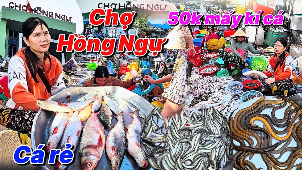 Ngập Tràn Cá Tôm Chợ Hồng Ngự 50k Rẻ Quá Chừng Bà Con Vui Vẻ Mời Gọi Xôm Tụ