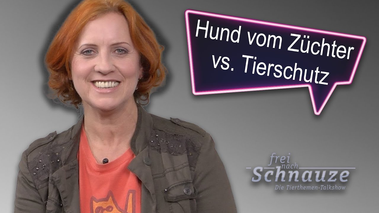 Hunde vom Z&uuml;chter oder vom Tierschutz? Talkshow mit Claudia Ludwig