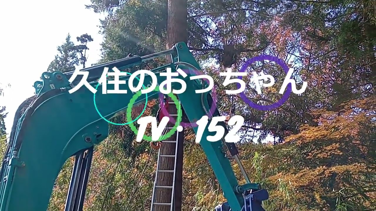 久住のおっちゃん＆おばちゃんの田舎暮らし・夫婦で林業・民家の側の2本支障木の伐採編！！