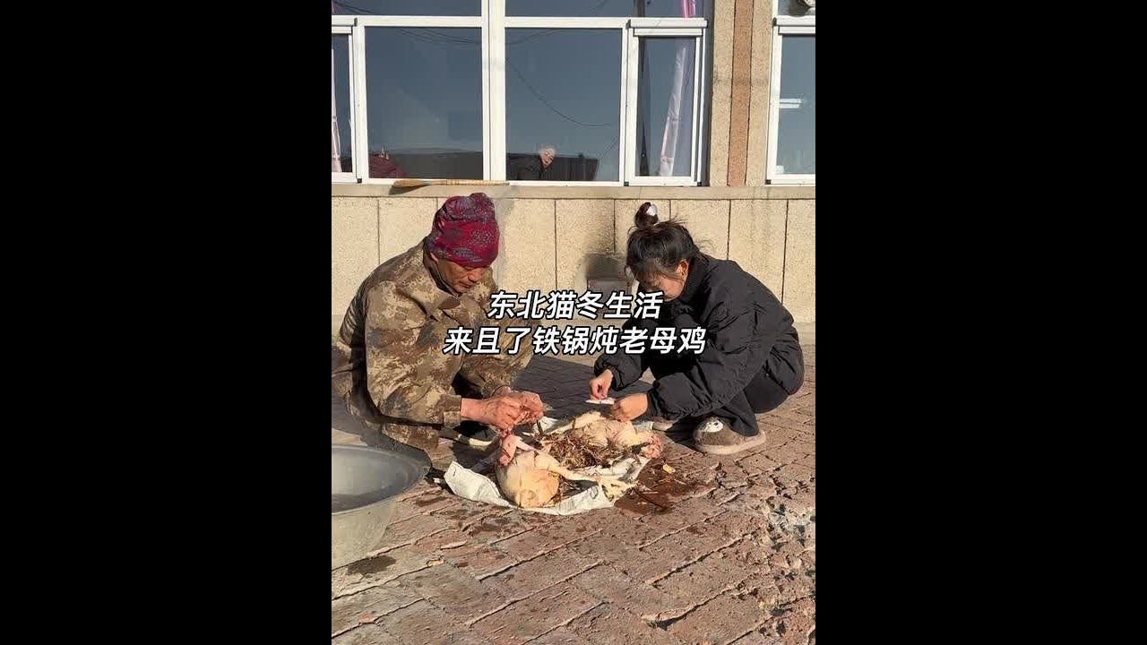 今天我家来且啦～我爸一大早就宰了两只老母鸡做铁锅炖～大家觉得公鸡和母鸡哪个更好吃？#东北猫冬生活 #青年创作者成长计划 #东北八大炖之一小鸡炖蘑菇有多香 #烟火气满满的乡村美食 #记录我的农村生活