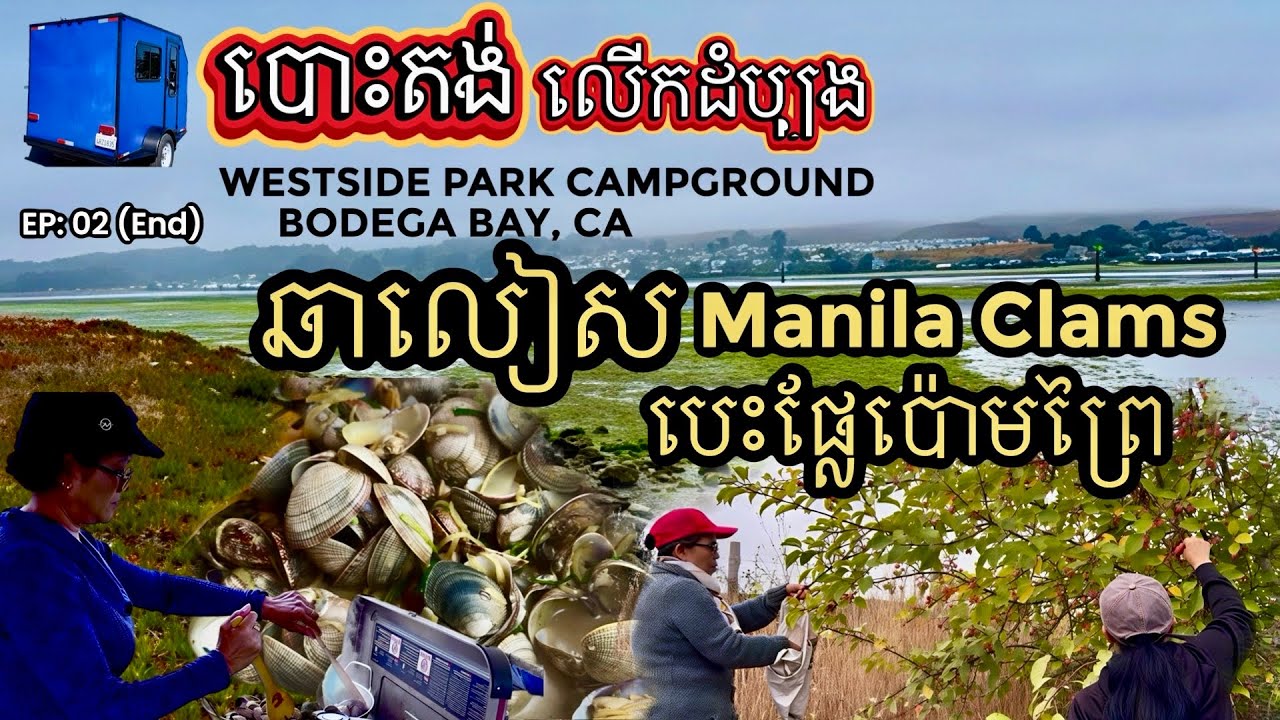 STIR-FRY MANILA CLAMS While Camping for The  FIRST TIME at WESTSIDE PARK in BODEGA BAY CA EP:02(End)