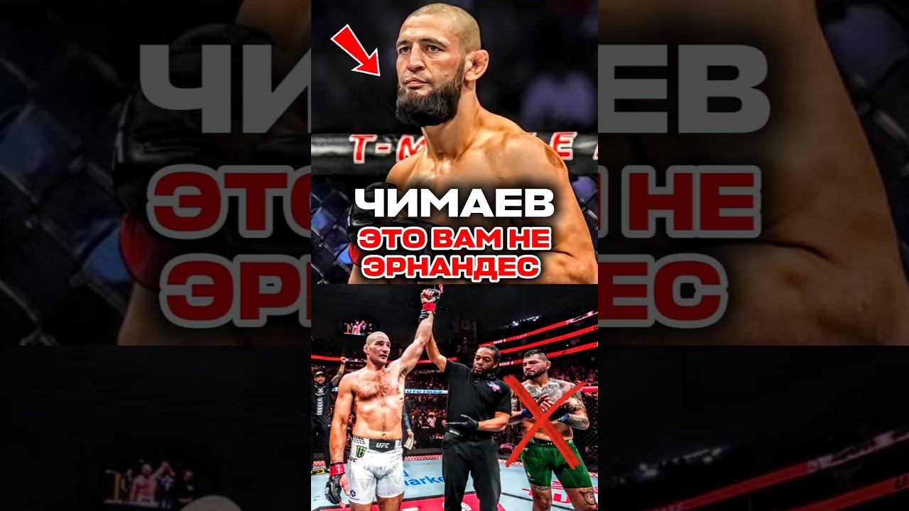 Хамзат Чимаев Khamzat Chimaev юфс ufc #ufc #юфс #khamzatchimaev #chimaev #чимаев #хамзатчимаев