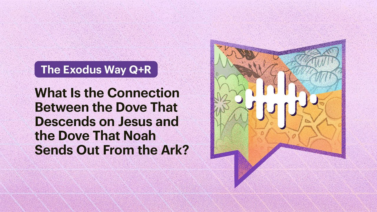 The Connection Between the Dove That Descends on Jesus and the Dove That Noah Sends Out From the Ark