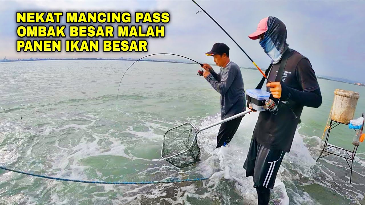 B4H4YA‼️JANGAN DITIRU ⛔ADEGAN INI DILAKUKAN OLEH ORANG-ORANG NEKAT YANG BERPENGALAMAN 🔥😂