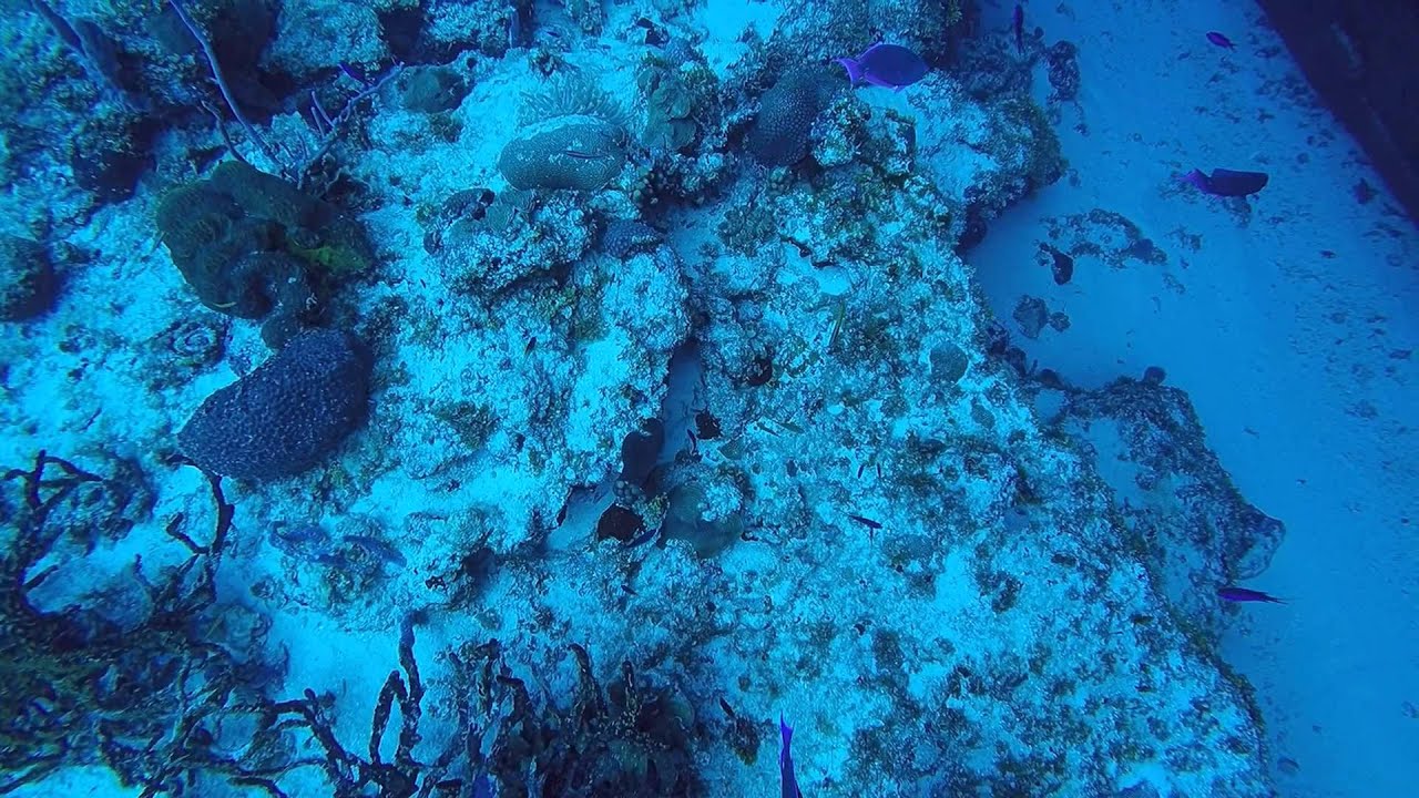 POV Diving - Shipwreck - Cozumel - México