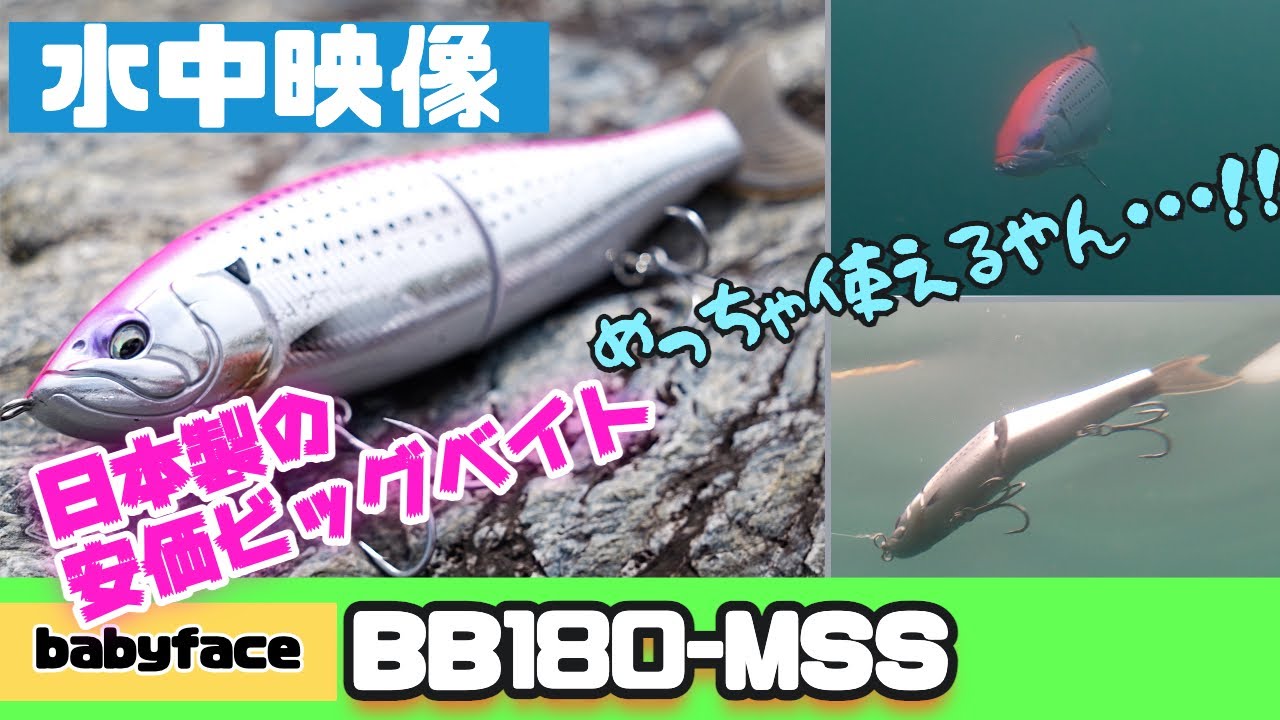 【水中映像】安価なビッグベイトでも実力は十分！その名は...BB180-MSS！！【シーバス】