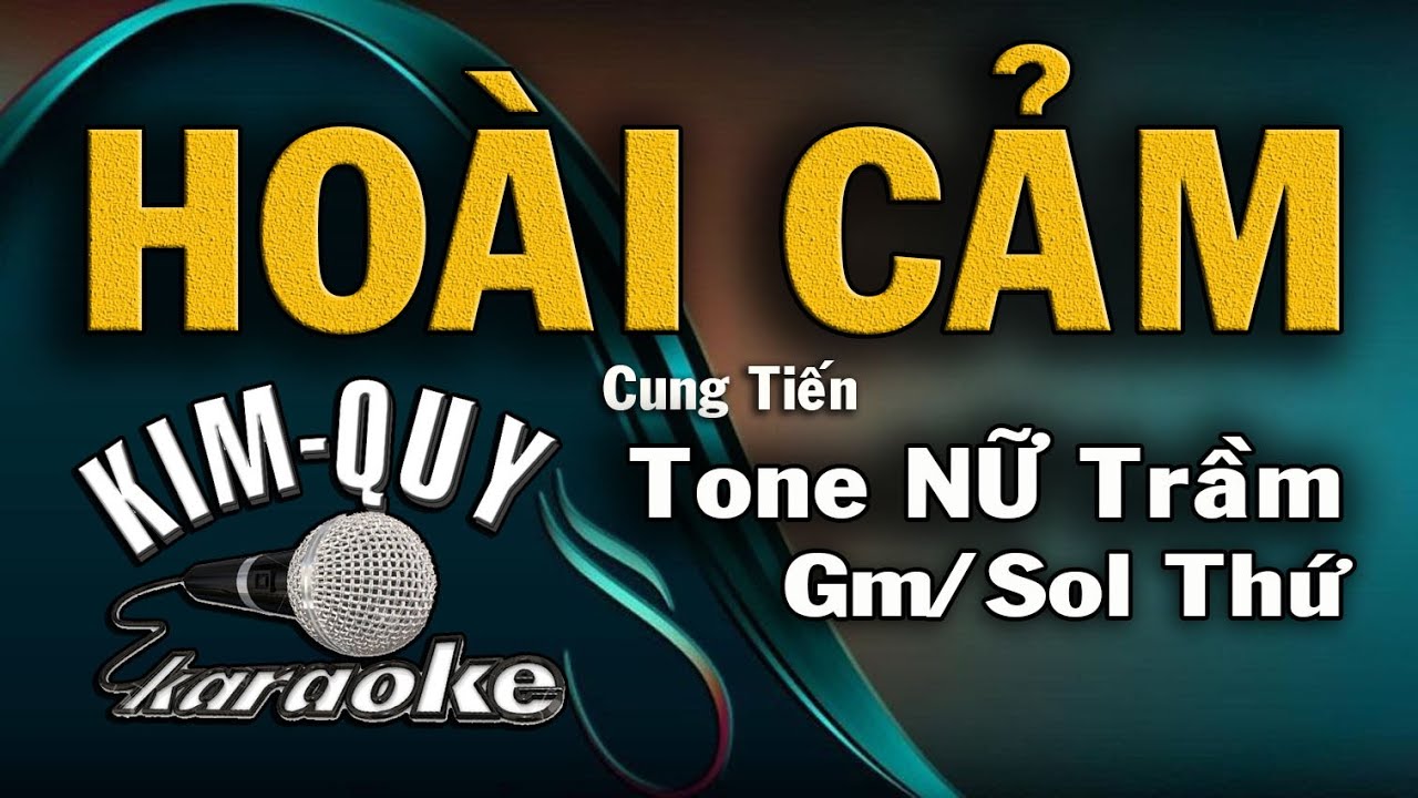HO&Agrave;I CẢM - KARAOKE - Tone NỮ Trầm ( Gm/Sol Thứ )
