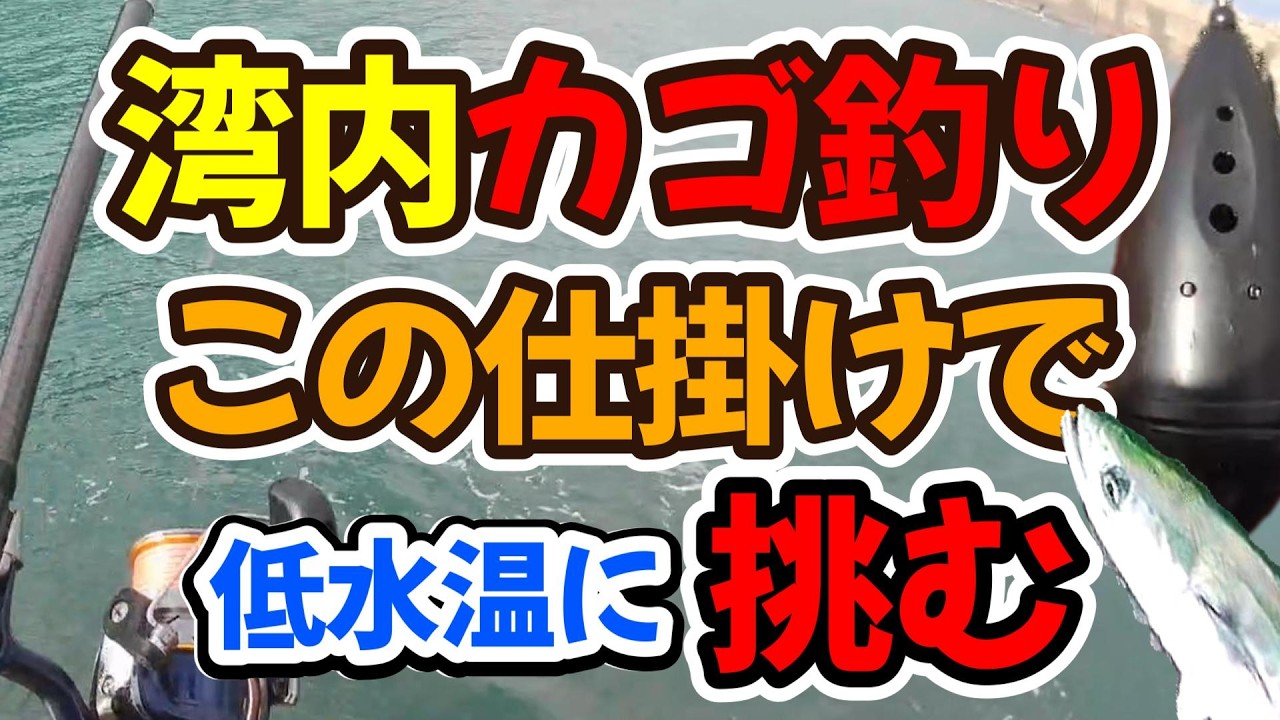 湾内カゴ釣り、この仕掛けで、低水温低活性の漁港で青物を求めて挑む（仕掛け解説あり）