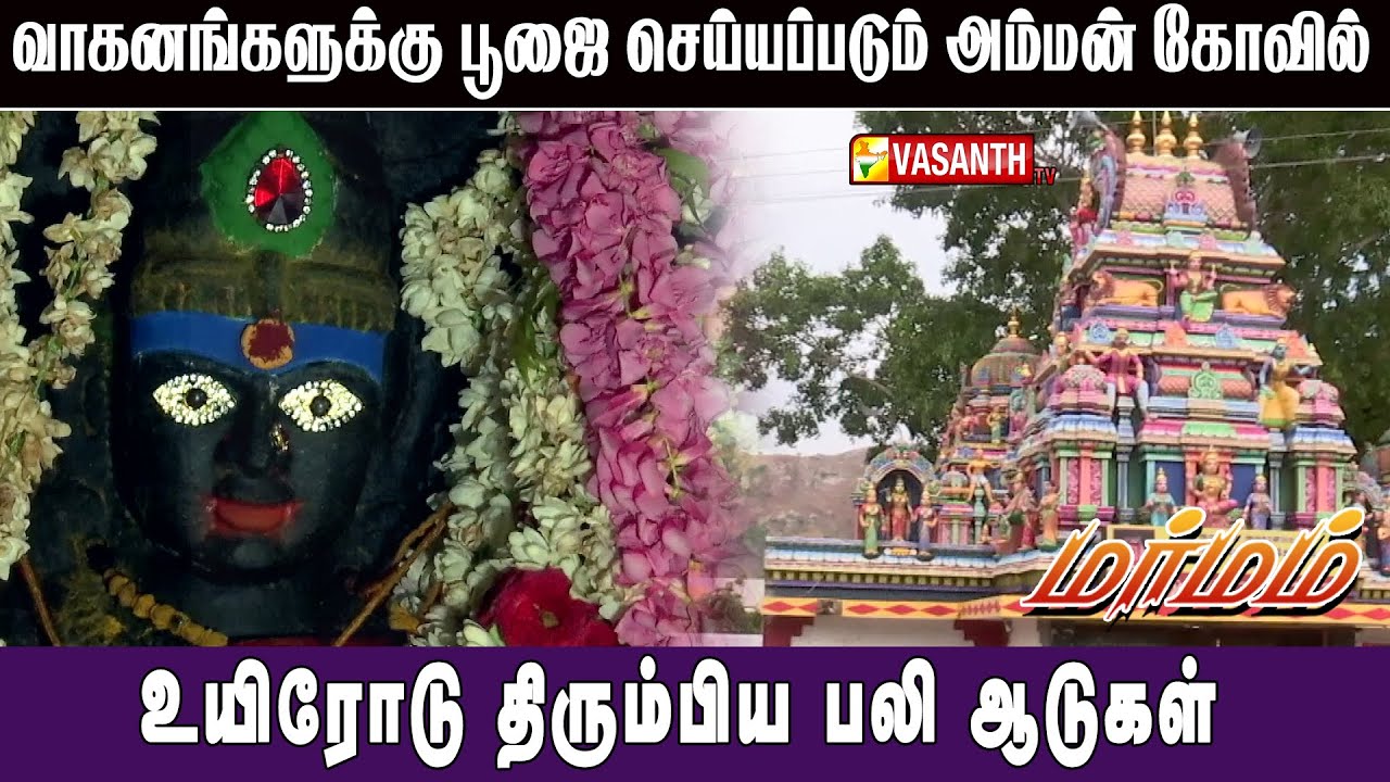 உயிரோடு திரும்பிய பலி ஆடுகள் | Avathanapatti Mariamman Temple | Marmam | VasanthTV