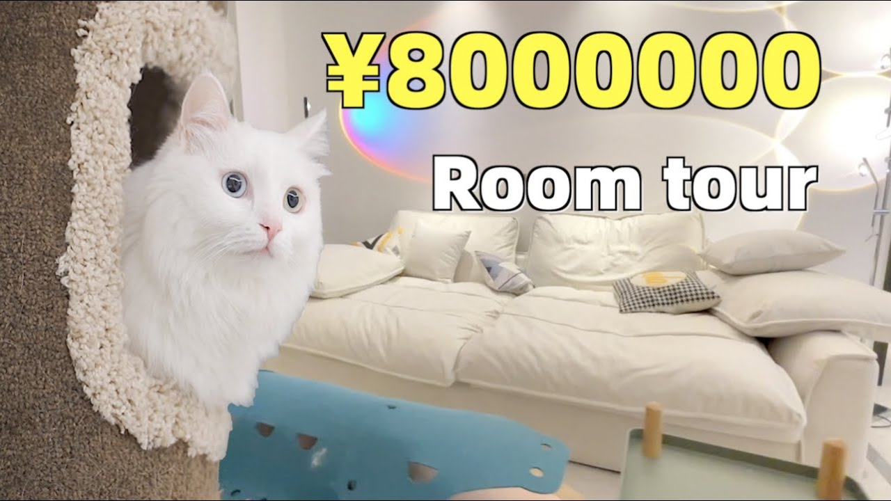 новый дом на 8 миллионов юаней 