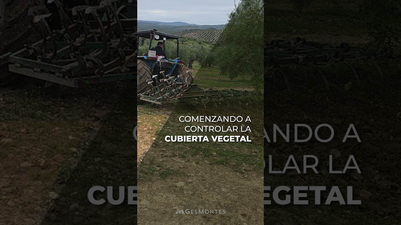 COMENZANDO A CONTROLAR LA CUBIERTA VEGETAL