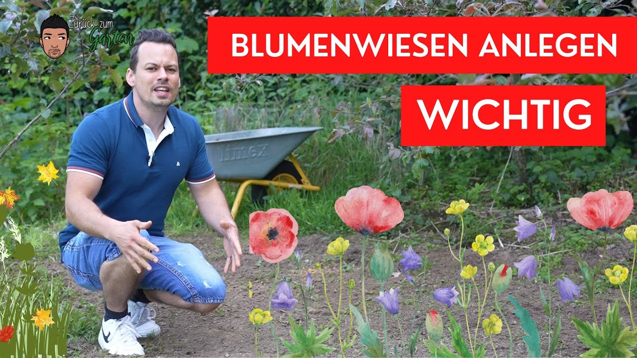 Insektenfreundlicher Garten durch Blumenwiesen anlegen-  Insekten und V&ouml;gel
