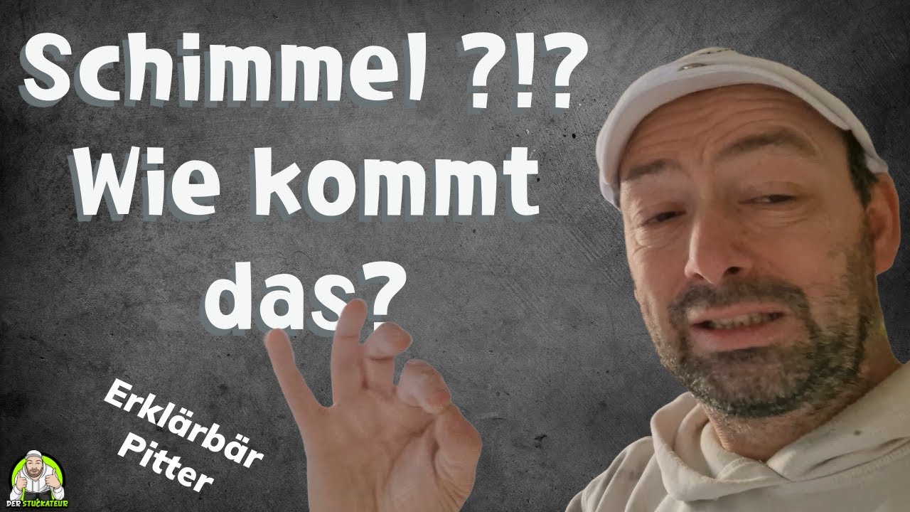 Erklärbar Pitter - Wie entsteht Schimmel an der Wand?