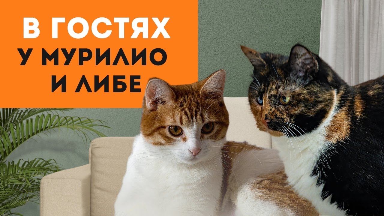 В гостях у Либе и Мурилио!