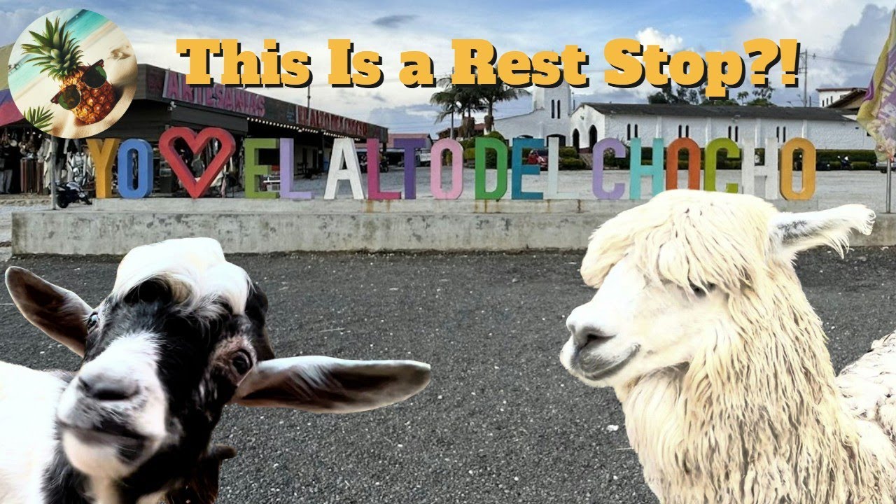 You Won’t Believe What We Found at This Rest Stop Near Medellín