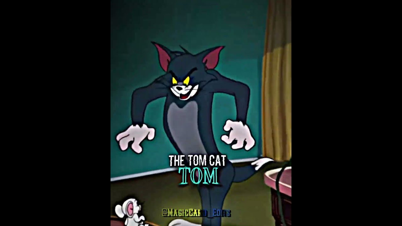 Tom (Tom and Jerry) vs Wile E Coyote