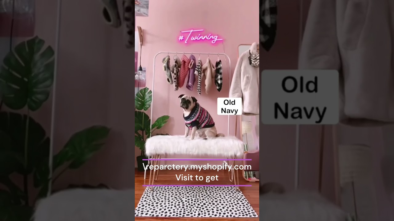 4 brands that you probably didn&rsquo;t know made clothes for dogs!