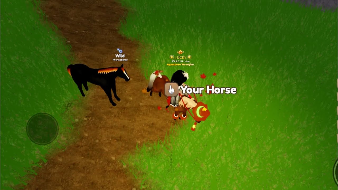 Naturally dyed & Horned Horses Compilation!|Wild Horse Islands Roblox