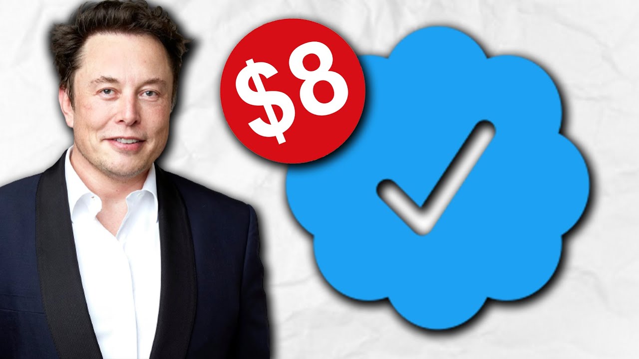 Should You Buy The Paid Version of Twitter?