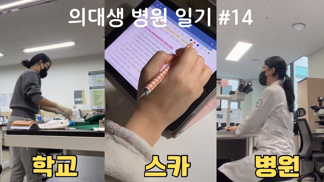 의대생 vlog. 실습하고 공부하고 시험보고 🔁 다들 이렇게 사는 거 아니야? | Korean Medstudent Vlog