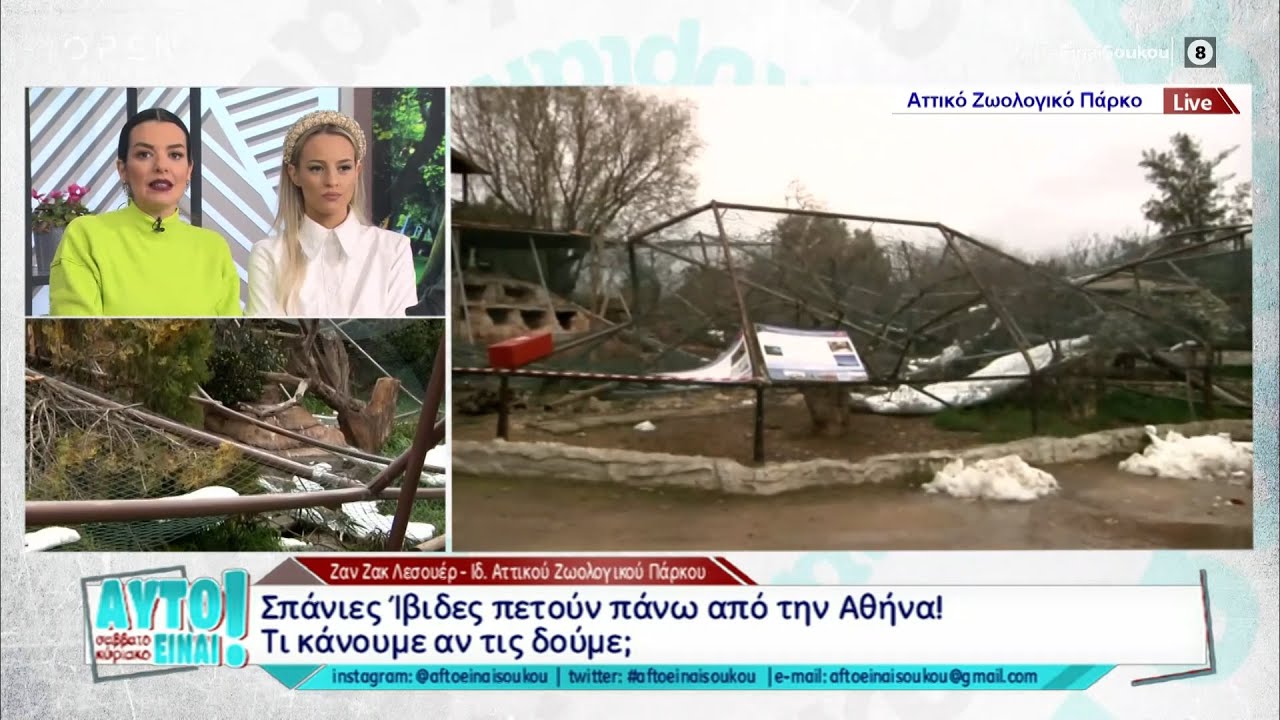 Καταστροφές στο Αττικό Ζωολογικό Πάρκο λόγω της κακοκαιρίας – Δραπέτευσαν σπάνια πουλιά | OPEN TV