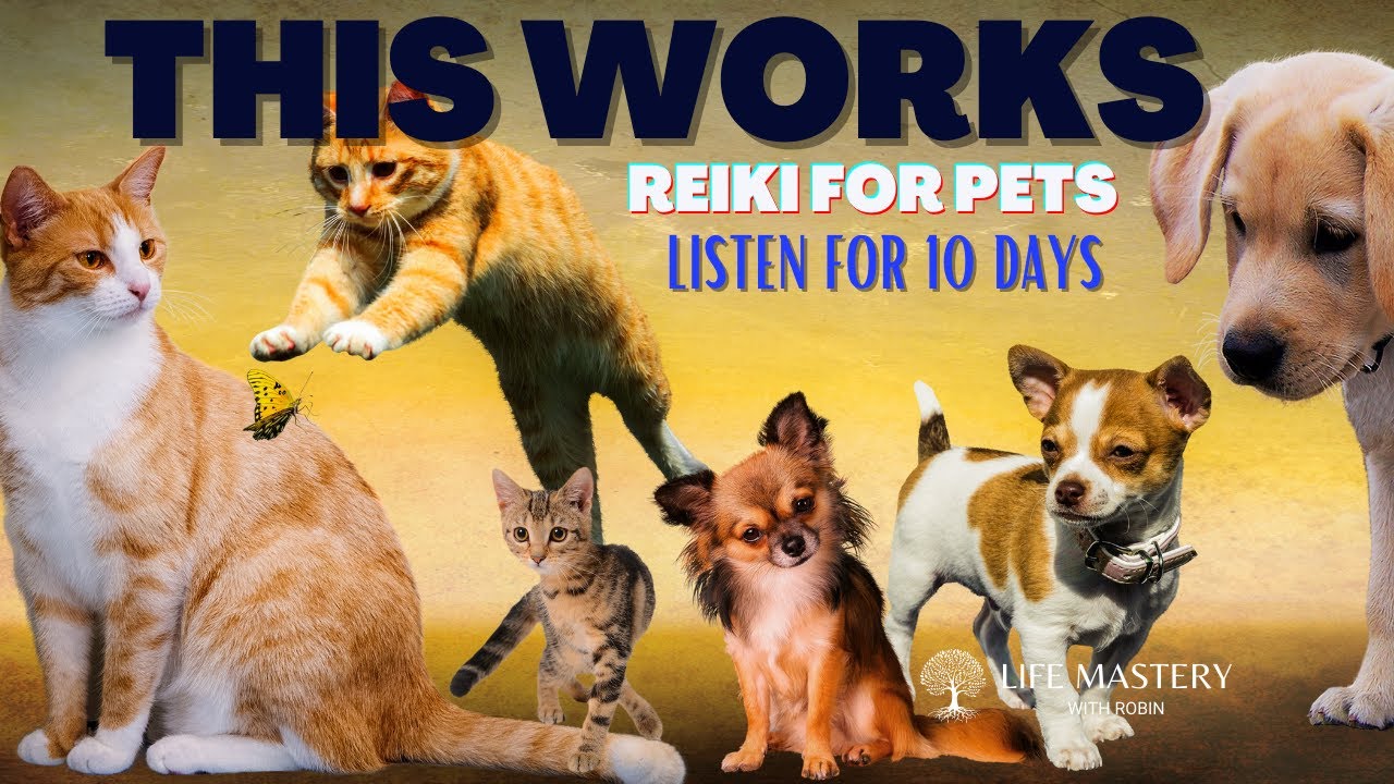 Reiki and Affirmations for Pets | Heal them NOW!